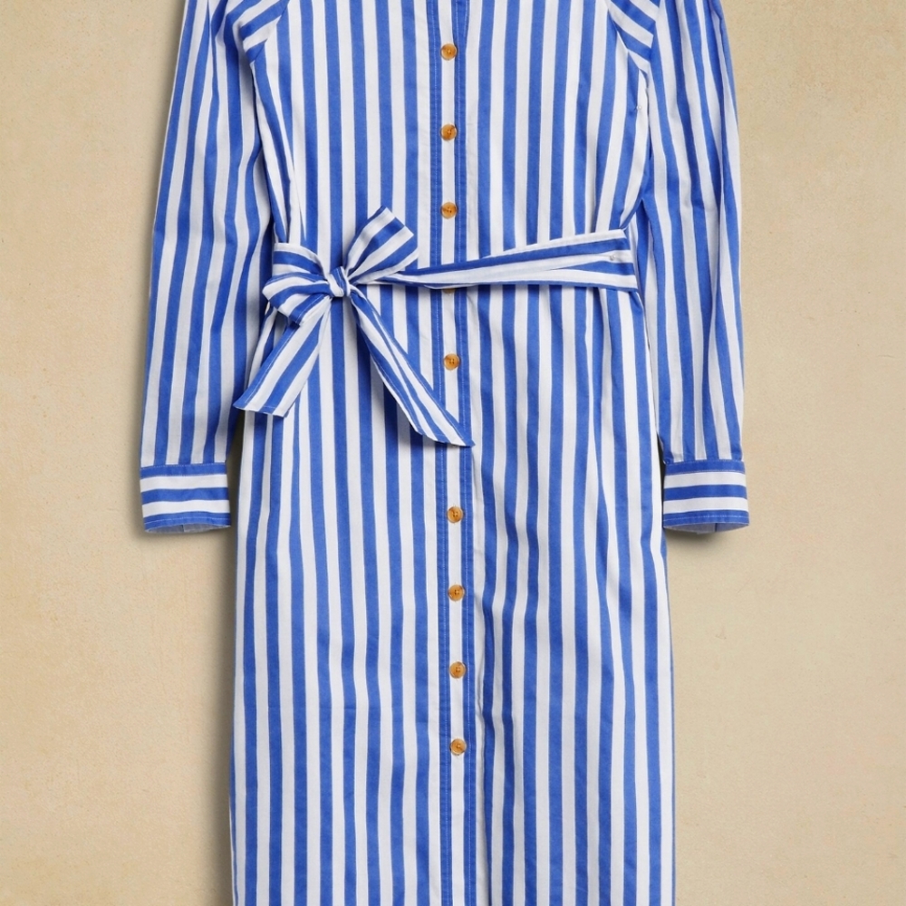Banana Republic Blue and White Scoop Neck Dress